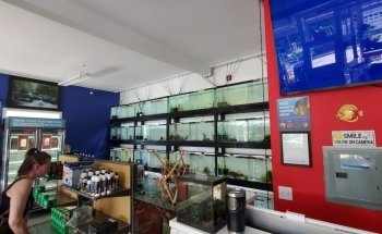 Eurofish Aquatics