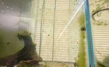 Eurofish Aquatics
