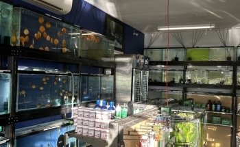 Eurofish Aquatics