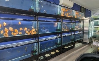 Eurofish Aquatics