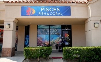 Pisces Peces y Coral