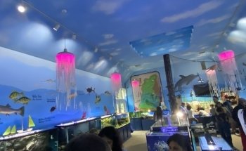 Glen Echo Park Aquarium