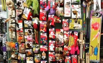 All in 1 Petshop