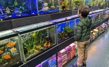 All in 1 Petshop