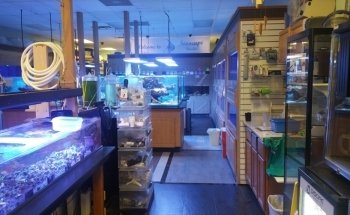 Seascape Studio
