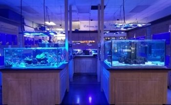Seascape Studio