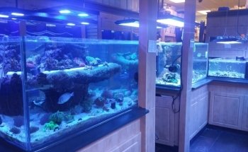 Seascape Studio