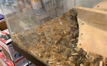 Sam's Flying Frog Ranch LLC
