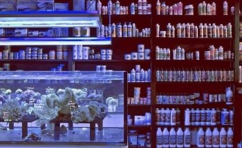 Ocean Blue Aquarium