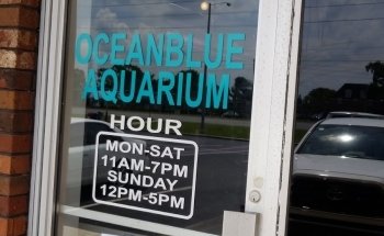 Acuario Océano Azul