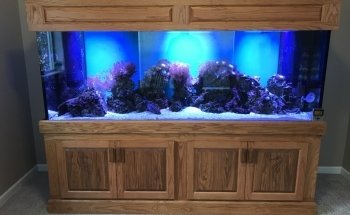 Aquatic Technology