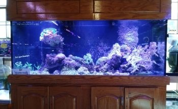 Aquatic Technology