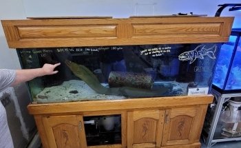 Aquatic Technology