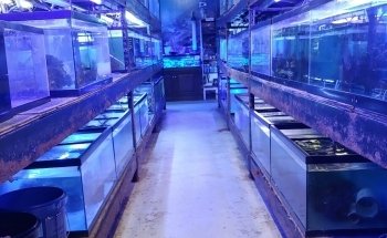 Aquatic Technology