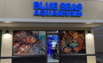 Acuarios Mares Azules