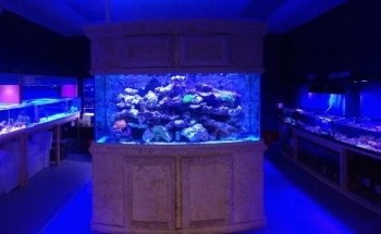 Blue Seas Aquariums