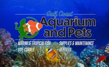 Gulf Coast Aquarium and Pets