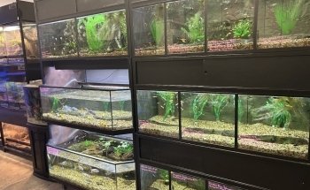 Gulf Coast Aquarium and Pets