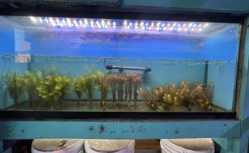 Bayparkway Aquarium