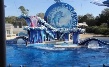 Dolphin Cove