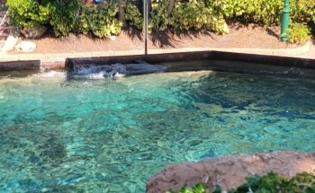 Dolphin Cove