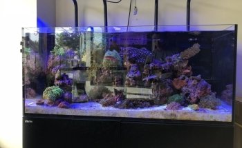 House of Fins