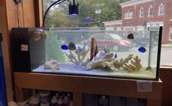 House of Fins