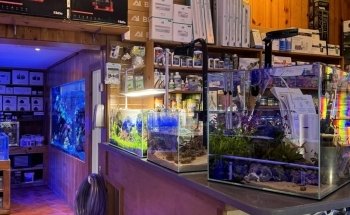 House of Fins