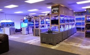 Reef Lounge USA