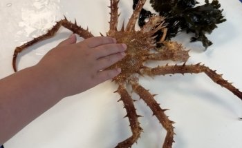 Explore the Ocean World Oceanarium