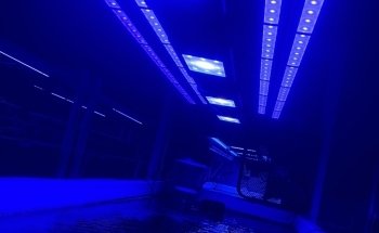Aquarium Obsessions Saltwater Shop