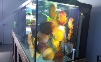 Mike & Miguel's Fish and Plant Store