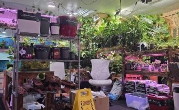 Mike & Miguel's Fish and Plant Store