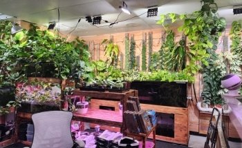 Mike & Miguel's Fish and Plant Store