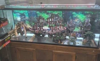 Aqua Plus