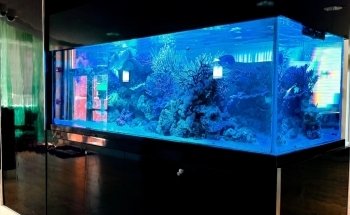 Aquarium Marketing