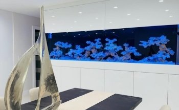 Aquarium Marketing