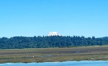 Nisqually Reach Nature Center
