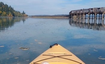 Nisqually Reach Nature Center