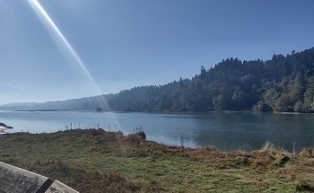 Nisqually Reach Nature Center