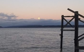 Nisqually Reach Nature Center