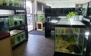 Fish Cave LLC