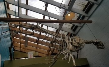 Westport Aquarium