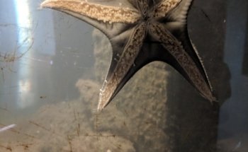 Westport Aquarium