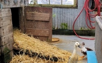 Westport Aquarium