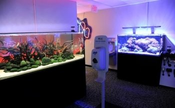 LiveAquaria