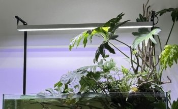 Planted aquariums Showroom