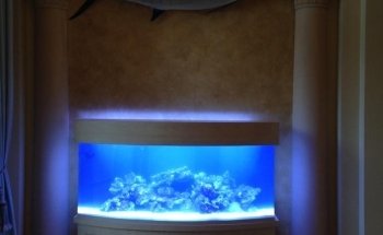 Tank Smart Aquariums