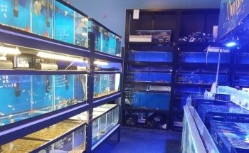 Tank Smart Aquariums