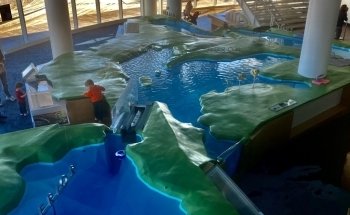 Discovery World's Reiman Aquarium